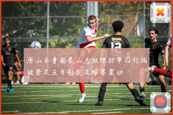 原山东鲁能泰山总经理孙华因行贿被禁足五年引发足球界震动